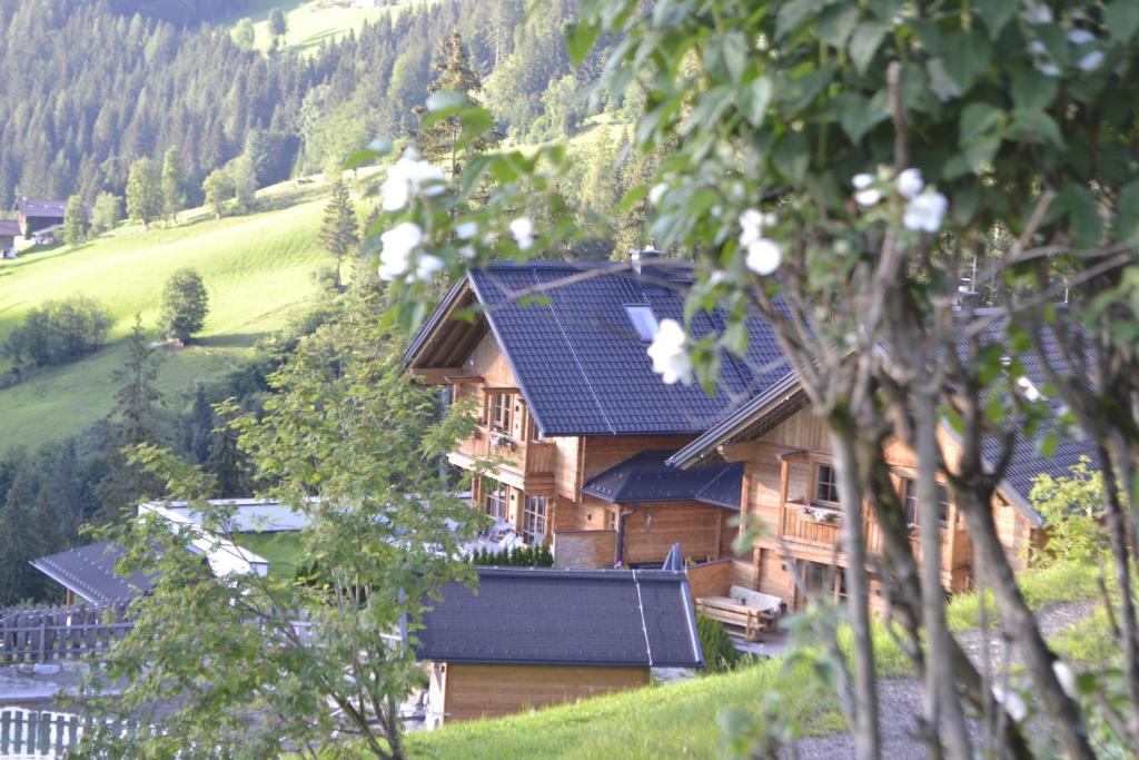 Príroda v okolí apartmánu