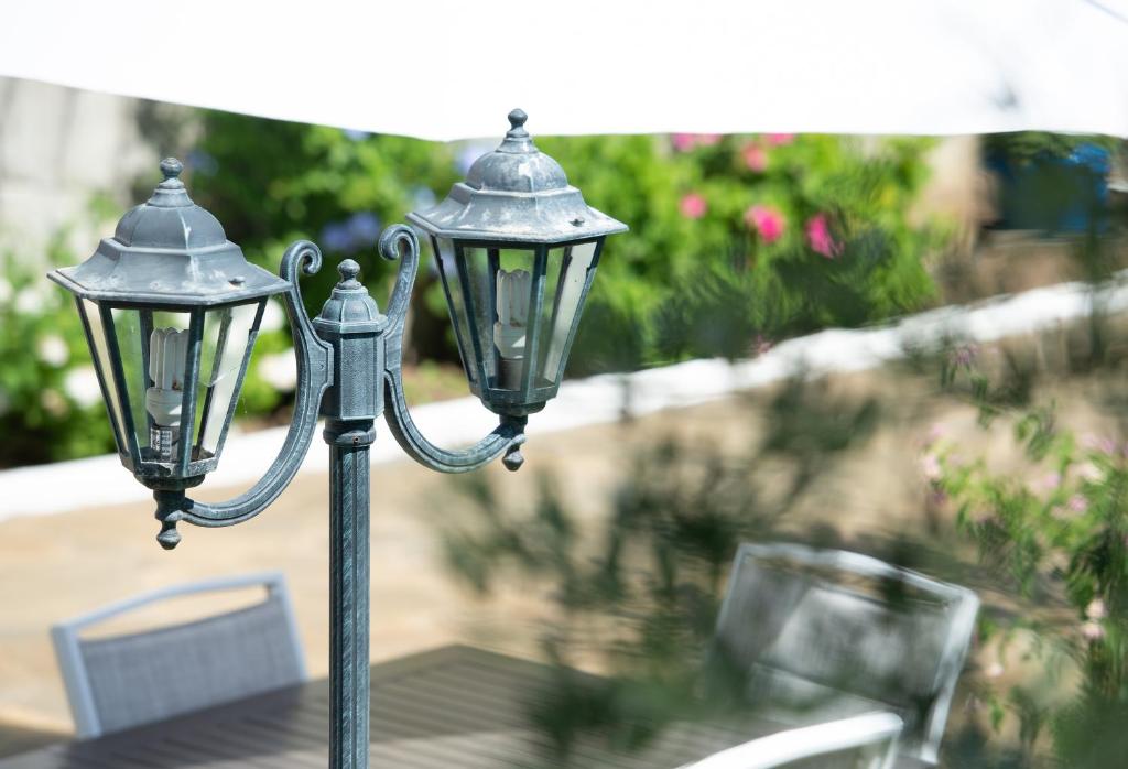 Zahrada ubytování Villa Isabella