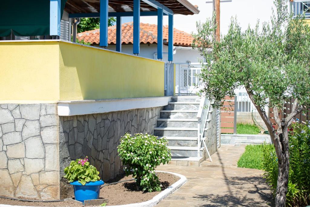 Zahrada ubytování Villa Isabella