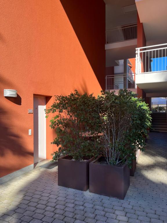 Fotografie z fotogalerie ubytování Hapimag Resort Ascona v destinaci Ascona
