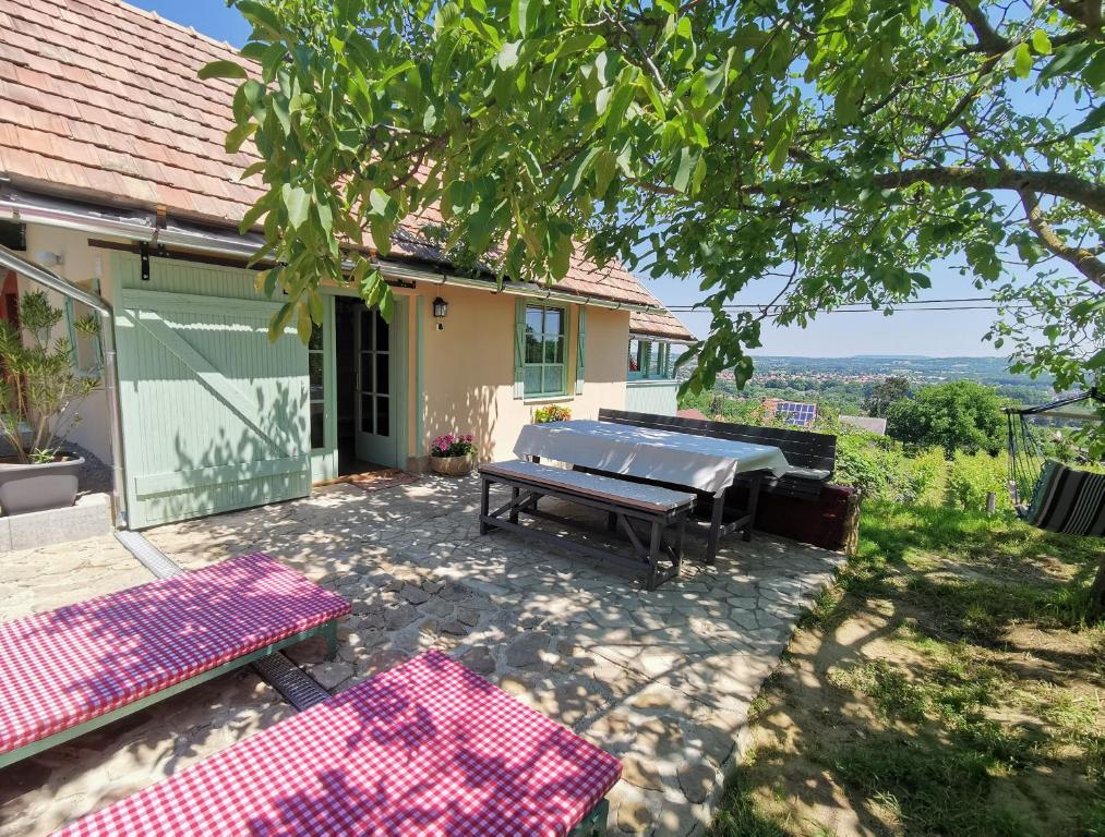 Zalaszentgrót的住宿－Bon Villa，庭院设有野餐桌和烧烤架。