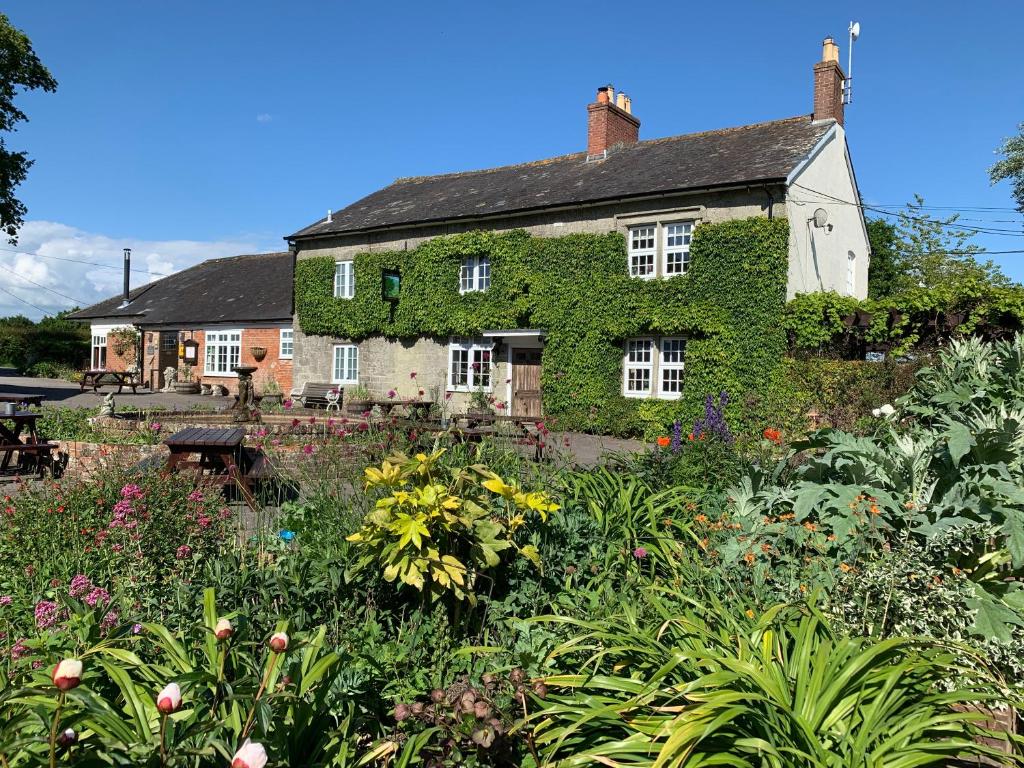 una casa cubierta de hiedra con un jardín delante de ella en The Coppleridge Inn en Motcombe