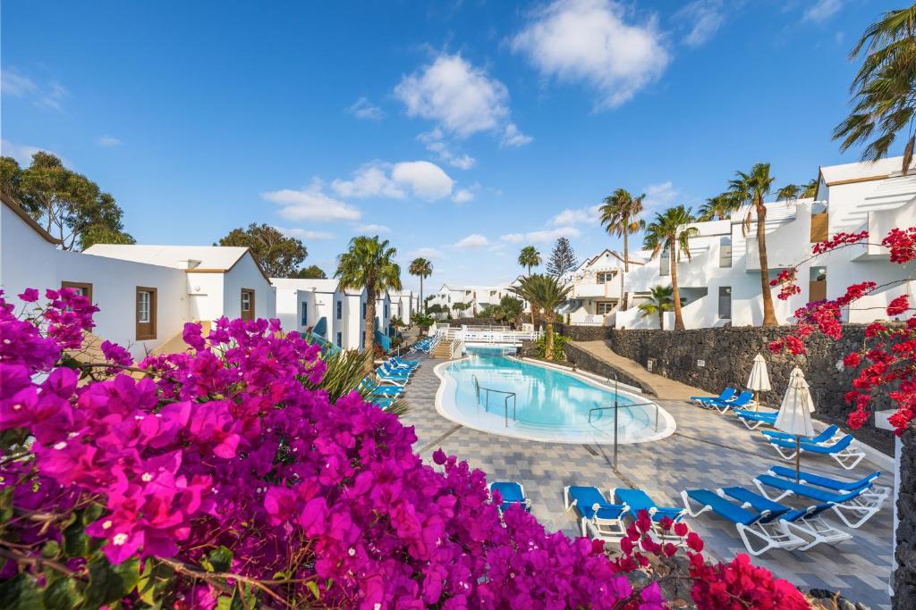 vistas a la piscina del complejo con flores púrpuras en Apartamentos LIVVO Morromar en Puerto del Carmen