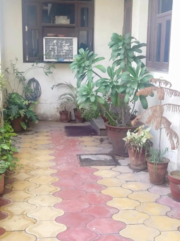 Pink Paradise, Jaipur (updated prices 2024)