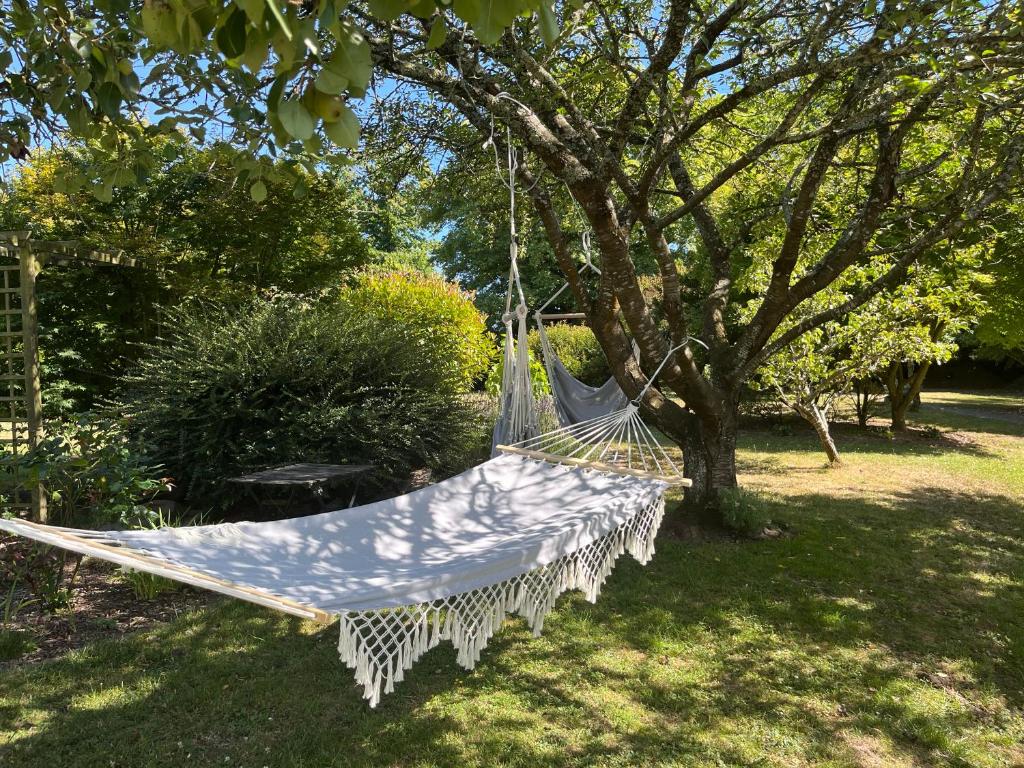 a hammock hanging from a tree in a yard at Gîte cosy sur jardin in Moëlan-sur-Mer
