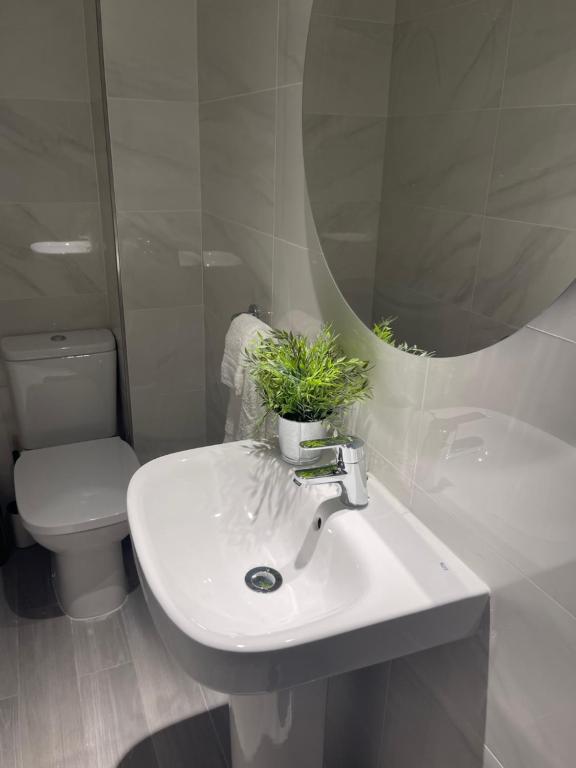 Kúpeľňa v ubytovaní PREMIUM MALAGUETA SUITE