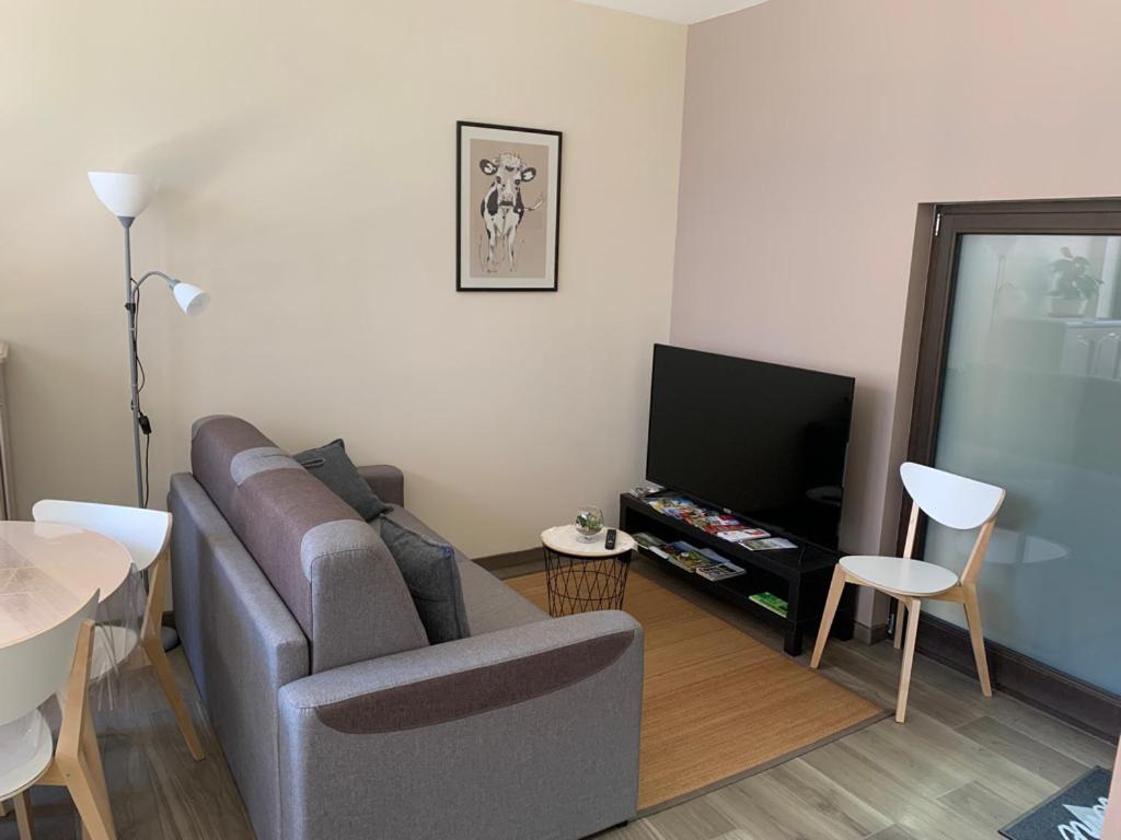 salon z kanapą i telewizorem w obiekcie la grange à Emile w mieście Dambach-la-Ville