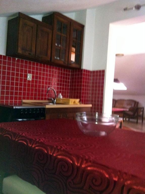 Kuchyň nebo kuchyňský kout v ubytování Apartments Husanovic