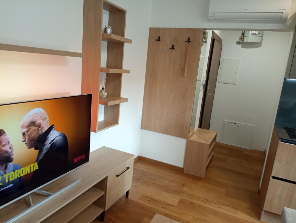 Telewizja i/lub zestaw kina domowego w obiekcie Nibela Apartments II