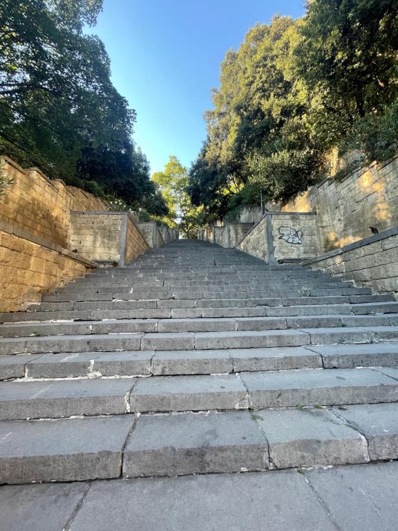 Domus Capodimonte - 12