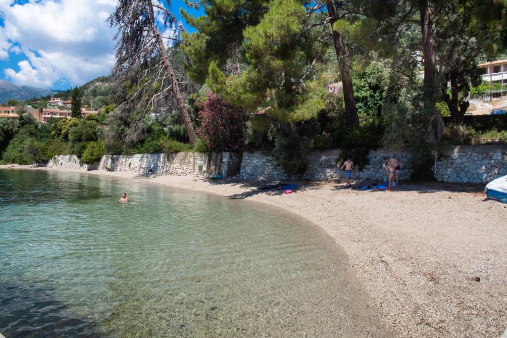 Táj Show holiday homes közelében