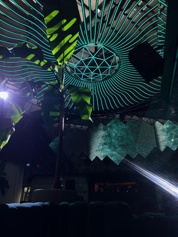 Paradox Vancouver - Resim 25