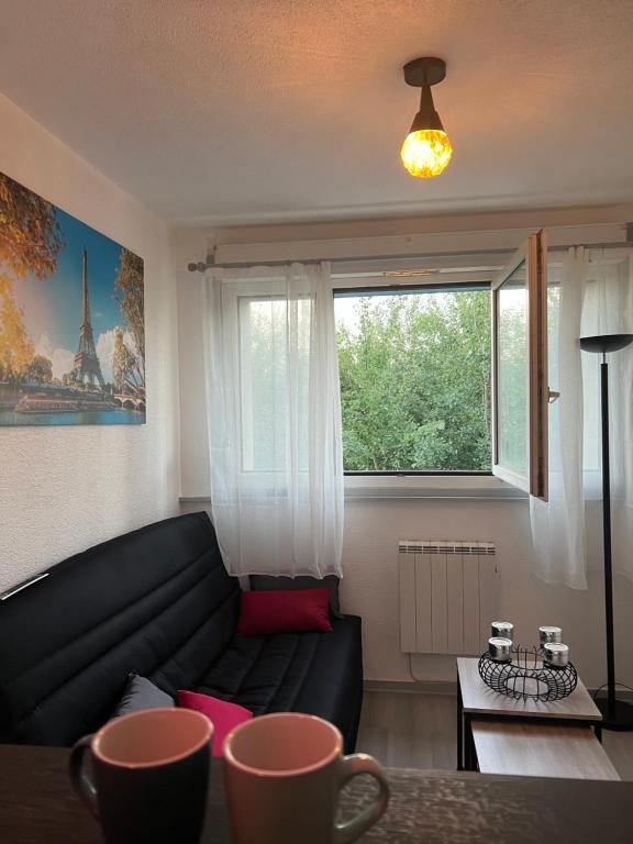 a living room with a black couch and a window at Cocon Accès facile Parking Gratuit in Belfort