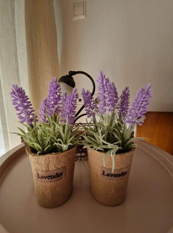 zwei Topfpflanzen auf einem Tisch in der Unterkunft Levanda House in Palaió Tsiflíki