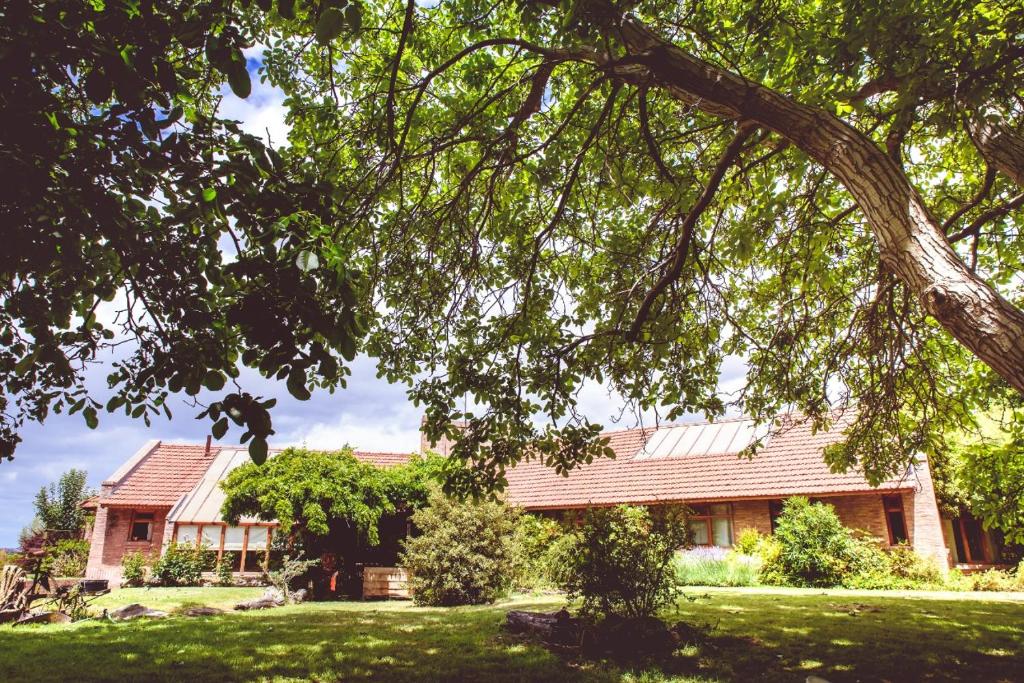 a house with a tree in front of it at Posada Los Mimbres in Gaiman