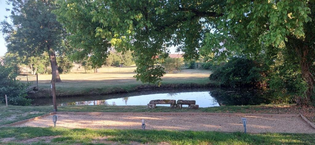 a park with a bench in front of a pond at Appartement T2 Le bief des jardins in Bracieux