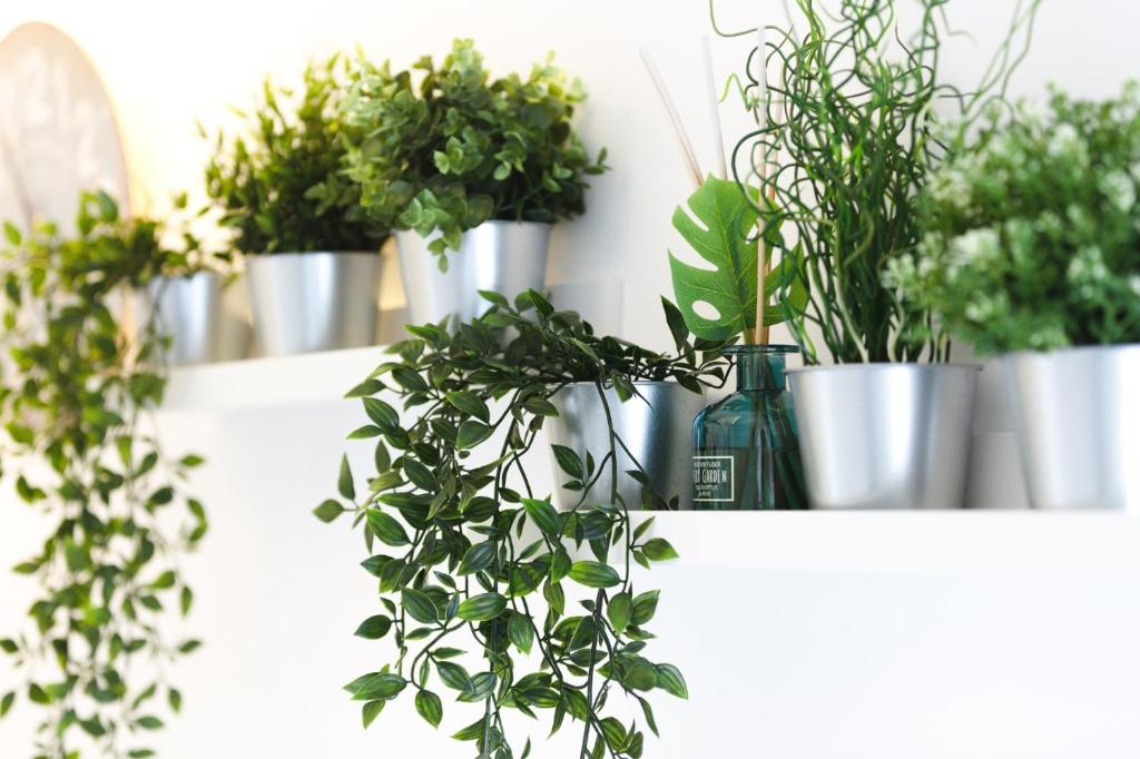 Alegria Cool House - 1