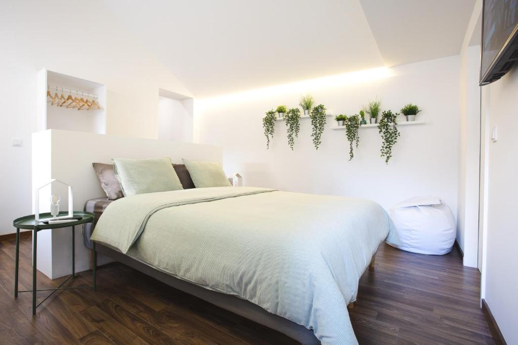 Alegria Cool House - 5