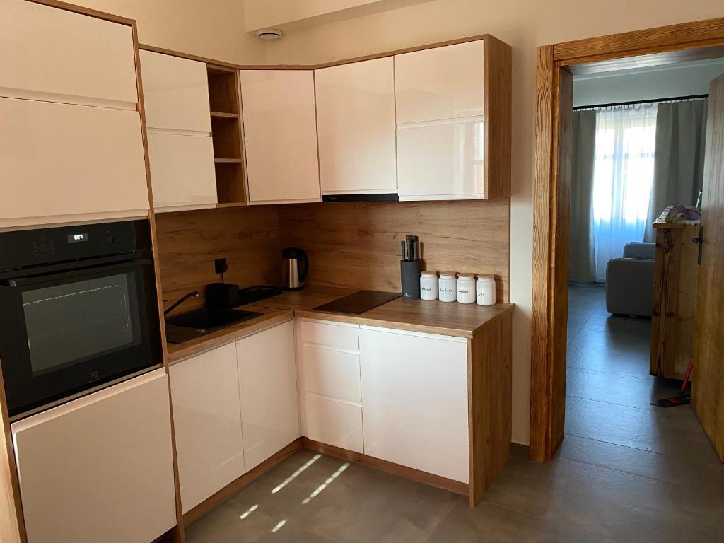Kuchyňa alebo kuchynka v ubytovaní Apartamenty Zander