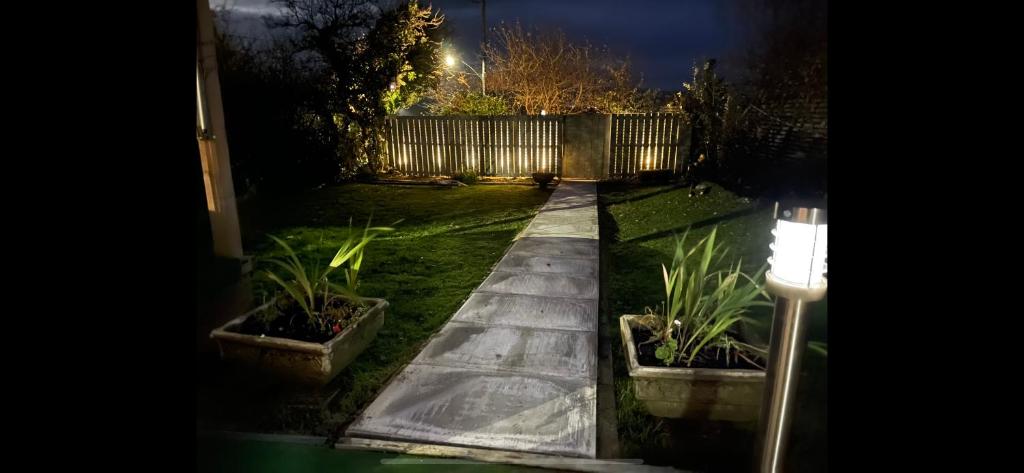 a garden at night with plants in pots at Sleeps 10-12 Snowdonia North Wales Nr Zip World in Tanygrisiau