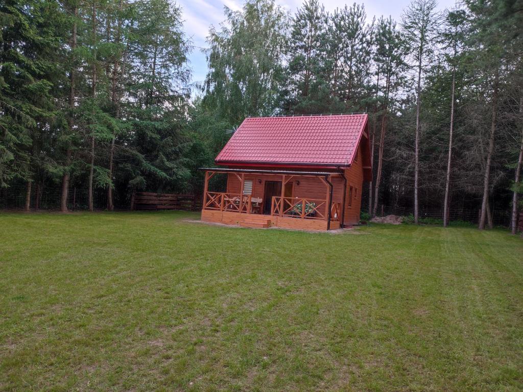 a small cabin with a red roof in a field at Domek na Mazurach w otulinie leśnej "Leśne zacisze" in Wydminy