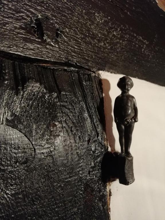 Fotografia z galérie ubytovania Art Apartament Puszczykowo v destinácii Puszczykowo