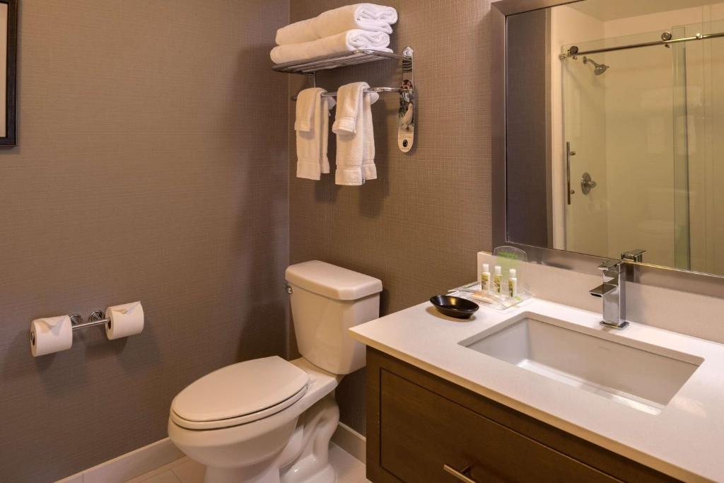 Sonesta Chicago O'Hare Airport Rosemont - Voorkeursking Kamer Met Sofabed