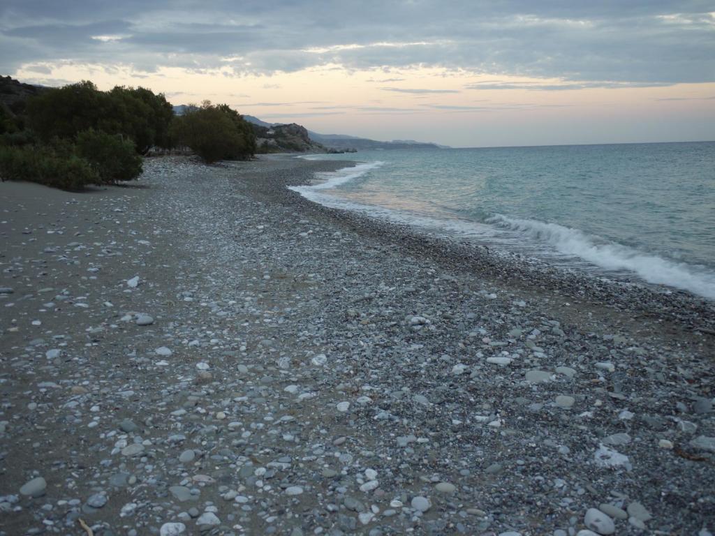 a rocky beach with trees and the ocean at Portela Apartments Kampoula in Keratokampos