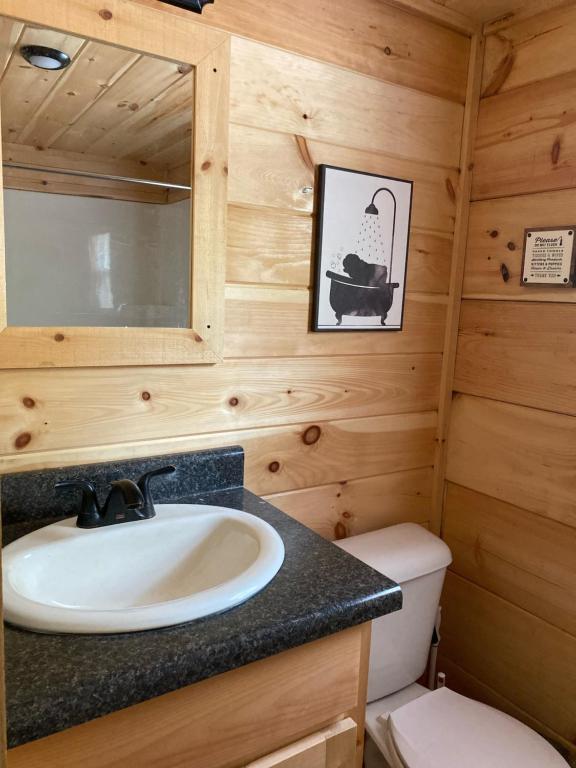 a bathroom with a sink and a toilet in a log cabin at Broad River Campground Cabins & Domes in Boiling Springs