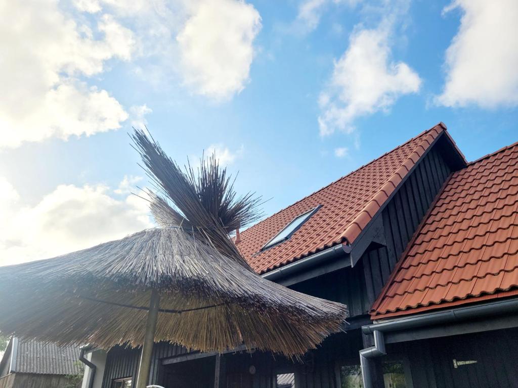 Billede fra billedgalleriet på Viesu māja Zvilnis i Pāvilosta