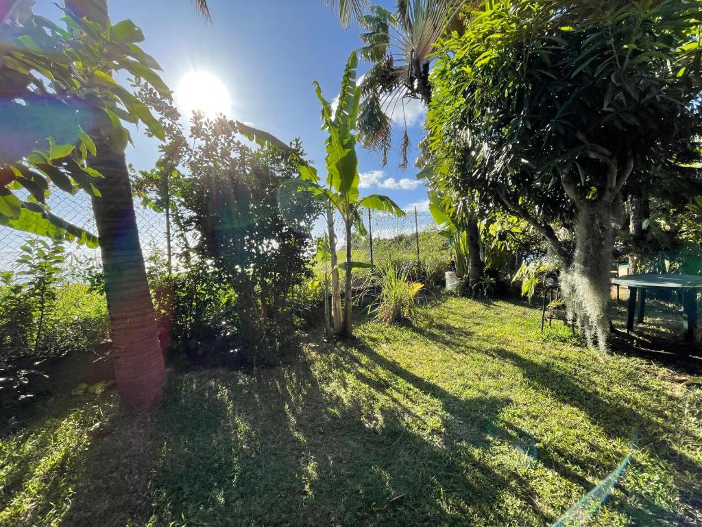 um jardim com palmeiras e uma mesa de piquenique em L’anthurium em Saint-Paul