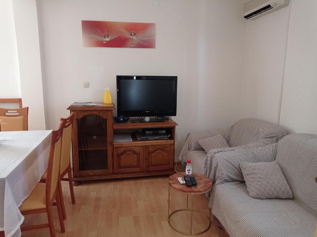 TV a/nebo společenská místnost v ubytování Apartments Anita