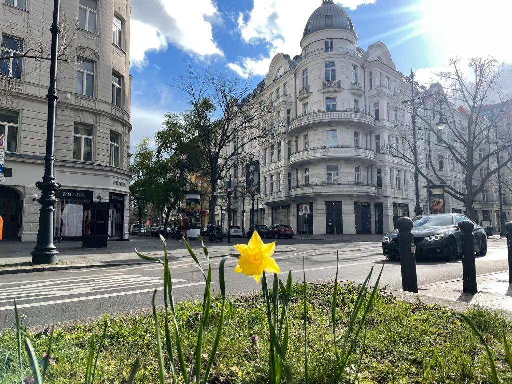Fotografie z fotogalerie ubytování Hotel Castell am Kurfürstendamm v Berlíně