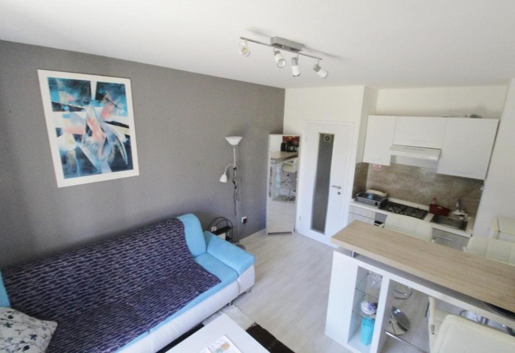 salon z niebieską kanapą i kuchnią w obiekcie Studio Jana Umag w mieście Umag