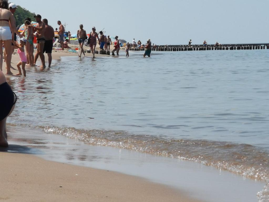 Przyroda w pobliżu tej kwatery prywatnej