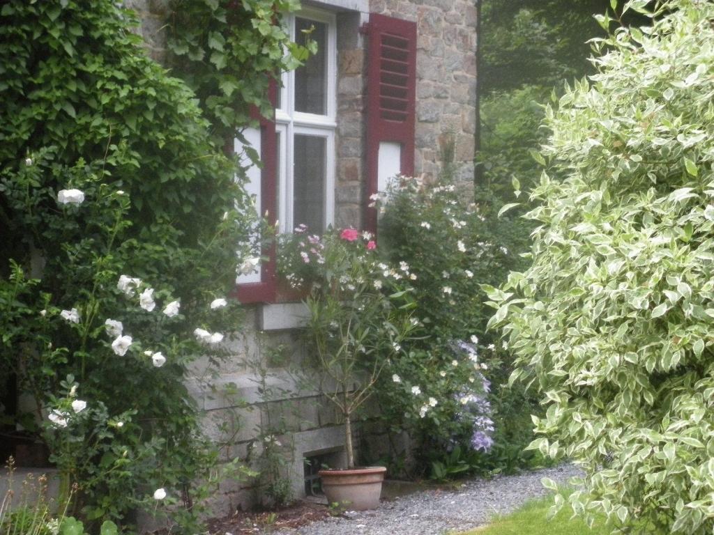 Zahrada ubytování B&B Le Bois Dormant