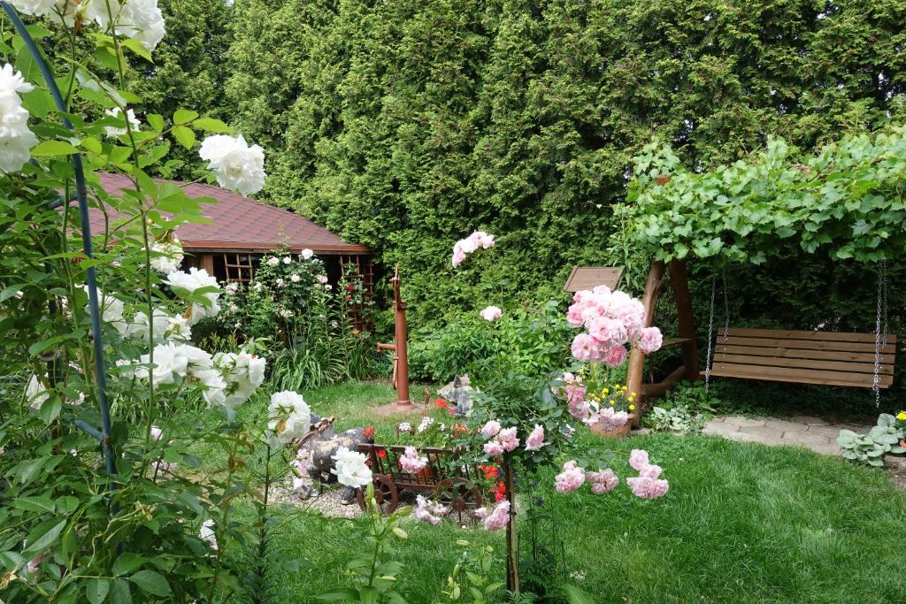 Zahrada ubytování Apartament Danuta Mrągowo