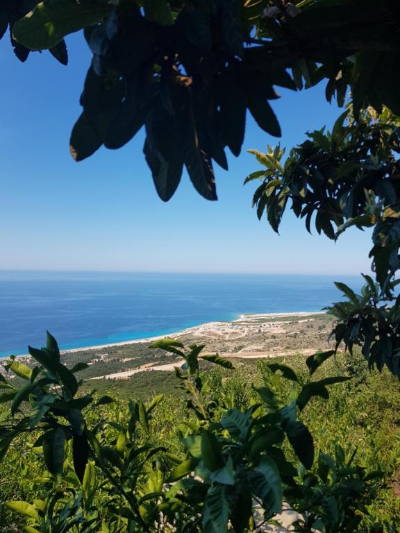 Foto dalla galleria di Vila Jona Palasë a Dhërmi