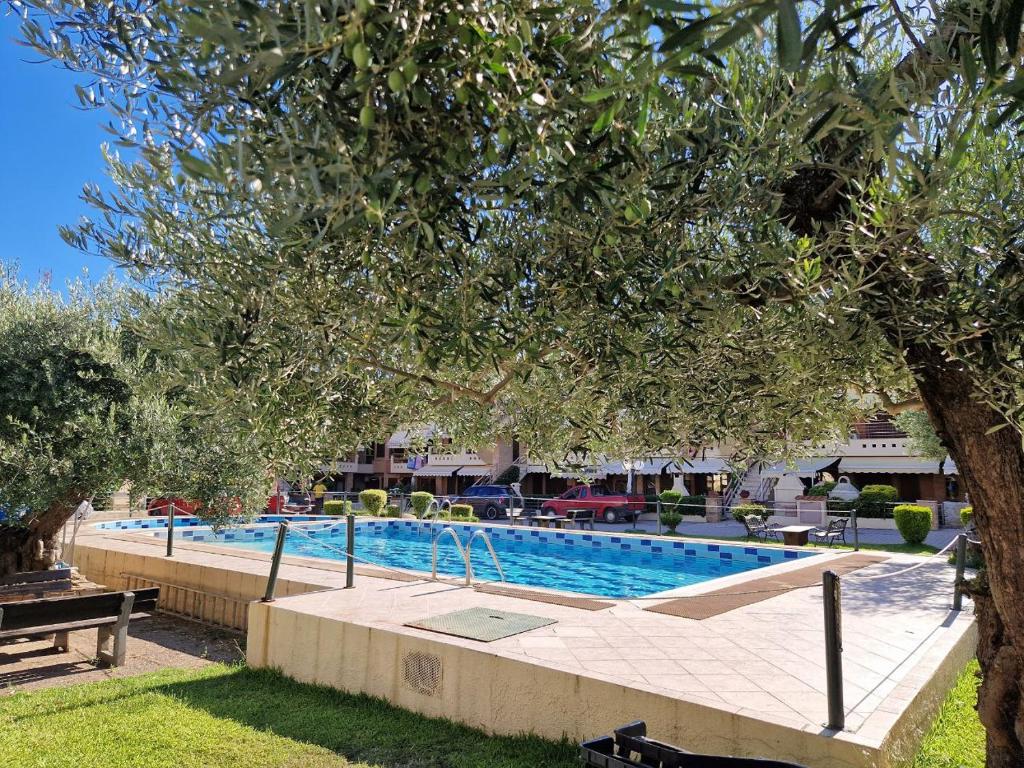 Bazén v ubytování Eldana First line with Shared Pool nebo v jeho okolí