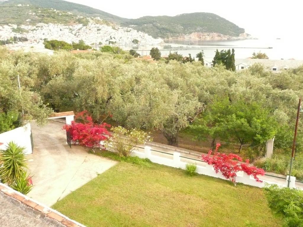 - une vue depuis le balcon d'une maison fleurie dans l'établissement Filoxenia, à Skopelos