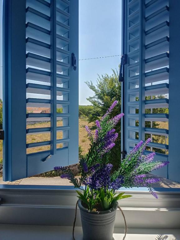 a blue window with a flower in a pot on a window sill at Blue harmony 1 Malinska in Malinska