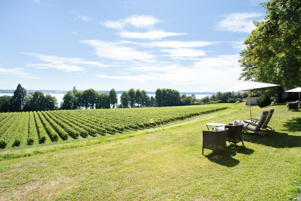 Kirchberg - Appartement Schlossnest, Immenstaad am Bodensee – Bijgewerkte prijzen 2023 Kirchberg - Appartement Schlossnest, Immenstaad Am Bodensee – Bijgewerkte Prijzen 2023