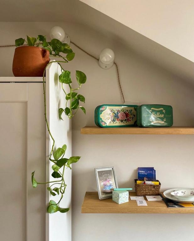 Zdjęcie z galerii obiektu Casa Ginepro via Mazzini w Turynie