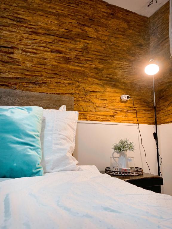 Beracah Guest House Sînmartin-Băile Felix