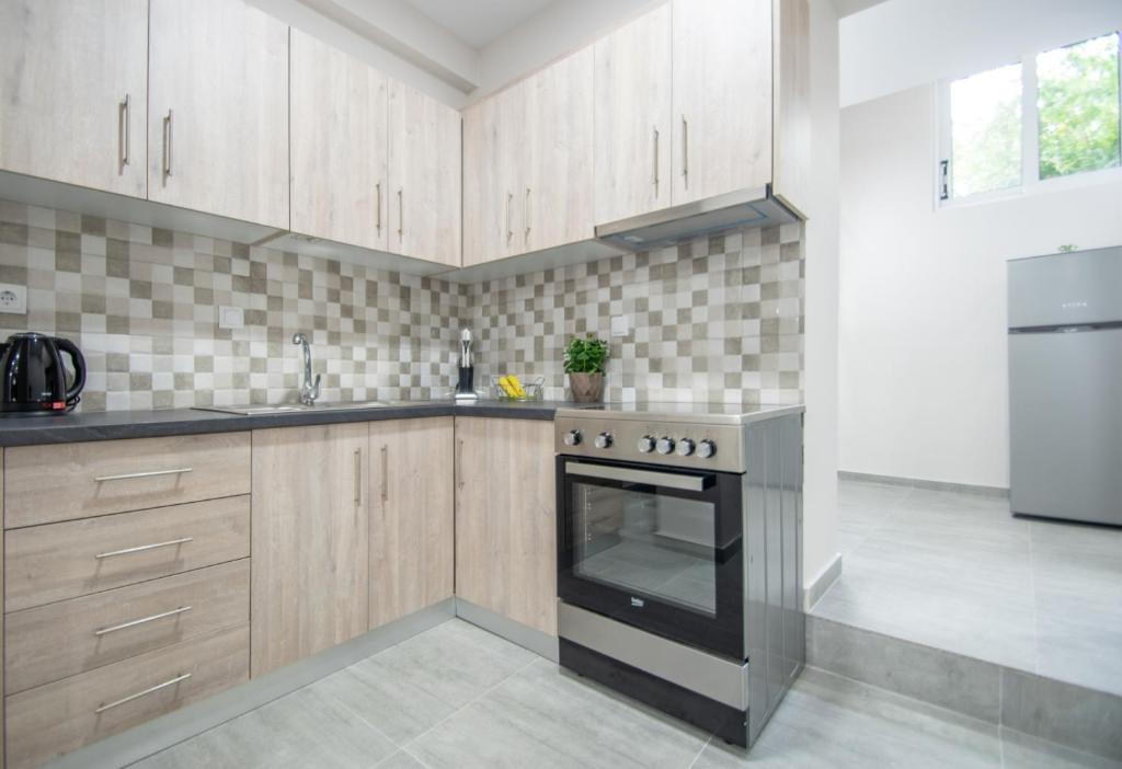 Kuchyň nebo kuchyňský kout v ubytování J & A Kandilas Apartment