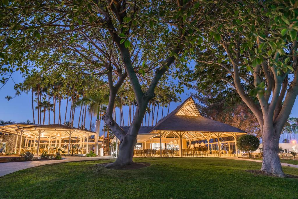 A garden outside Barceló Margaritas Royal Level Adults Only