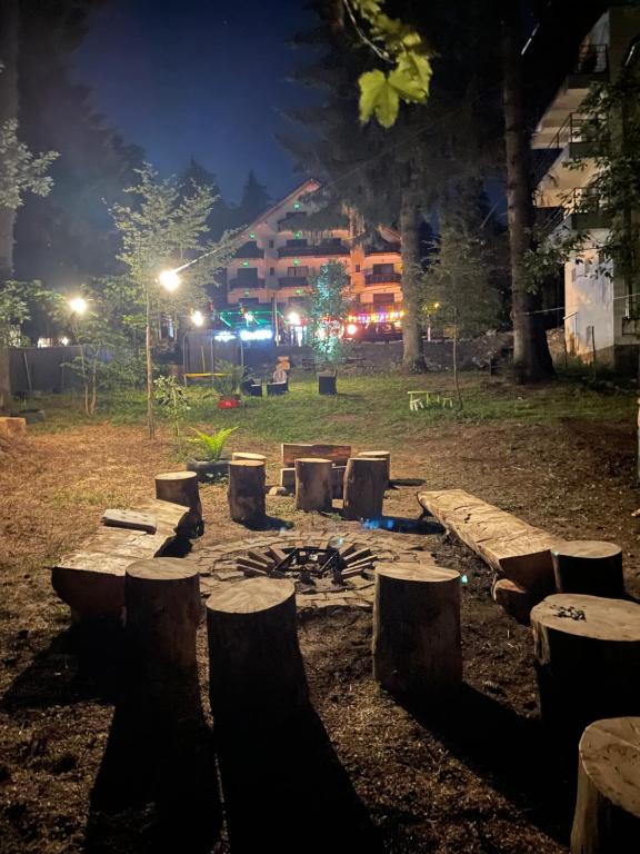 Zahrada ubytování Carpatic