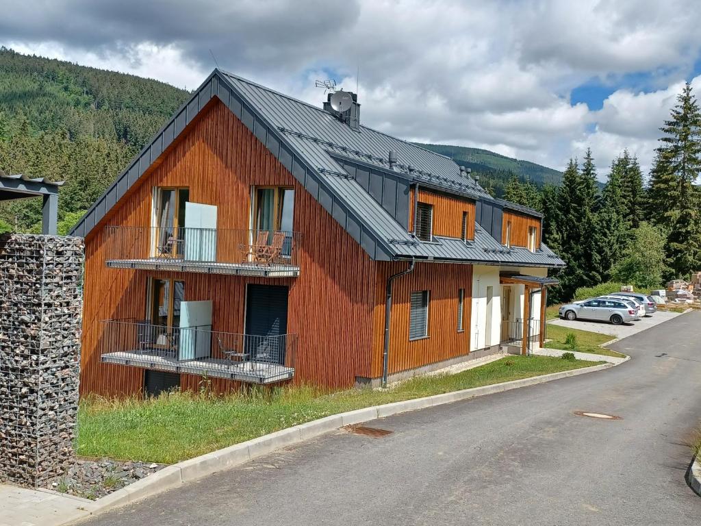 多尔尼莫拉瓦Apartmán Pod sjezdovkami的一座大型木房子,设有黑色屋顶