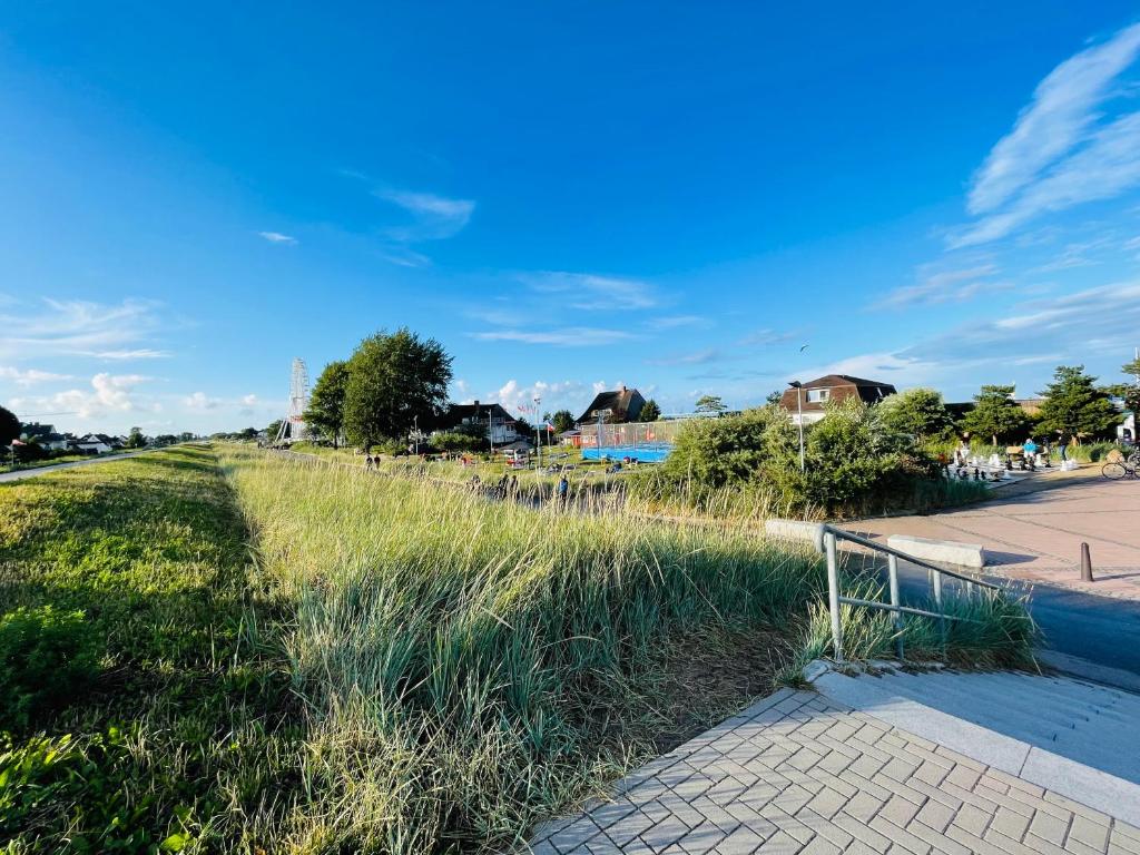 a field of grass next to a sidewalk at Apartment Strandkorv für 2-4 Personen mit Pool in Dahme