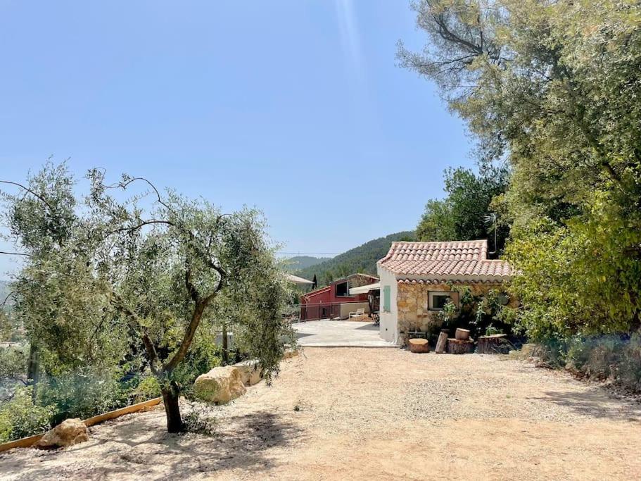 Maisonnette avec vue